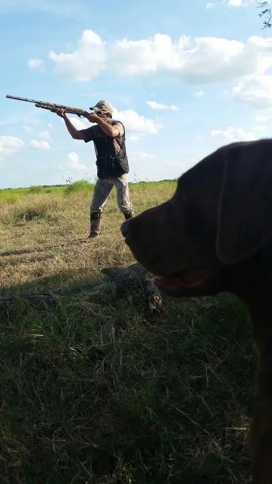 Dove Hunting Season in Texas